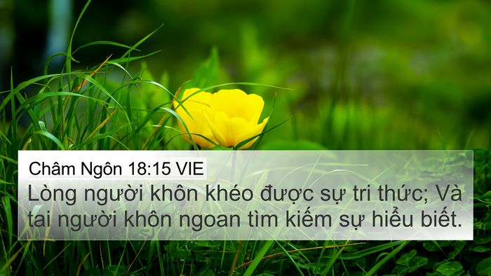 Châm Ngôn 18:15 VIE Bible Verse Image