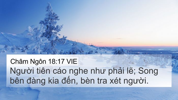 Châm Ngôn 18:17 VIE Bible Verse Image