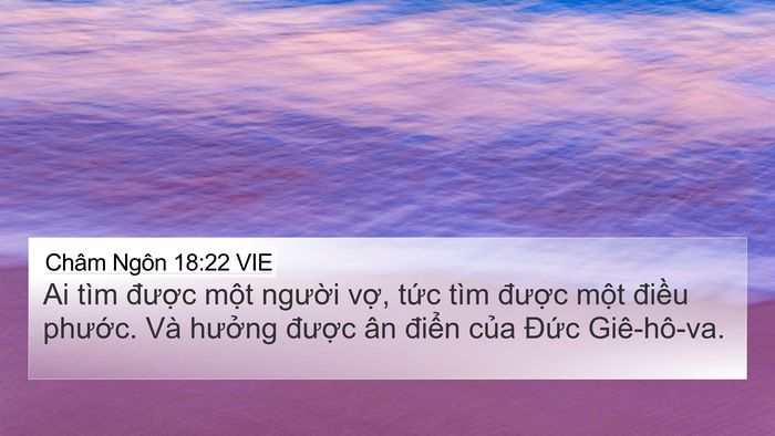 Châm Ngôn 18:22 VIE Bible Verse Image