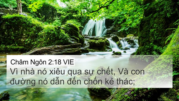 Châm Ngôn 2:18 VIE Bible Verse Image