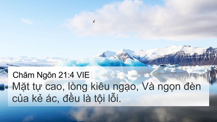 Châm Ngôn 21:4 VIE Bible Verse Image