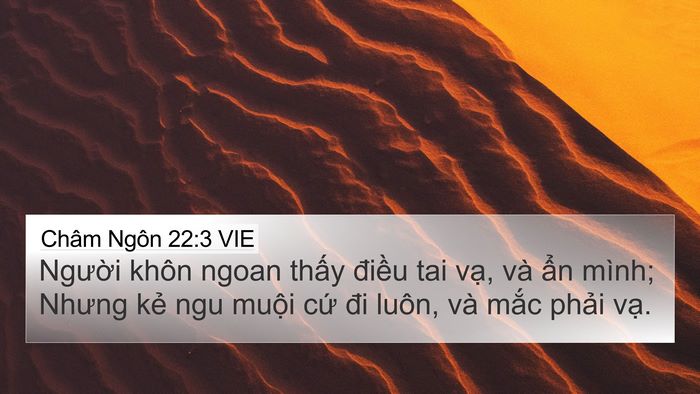 Châm Ngôn 22:3 VIE Bible Verse Image