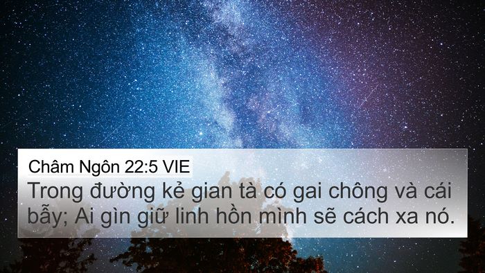 Châm Ngôn 22:5 VIE 4K Wallpaper - Trong đường kẻ gian tà có gai chông và - 4K Wallpaper Bible Verse