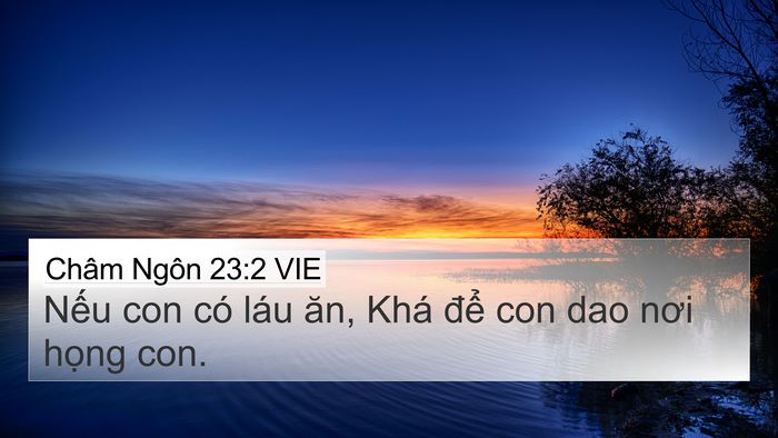 Châm Ngôn 23:2 VIE 4K Wallpaper - Nếu con có láu ăn, Khá để con dao nơi - 4K Wallpaper Bible Verse