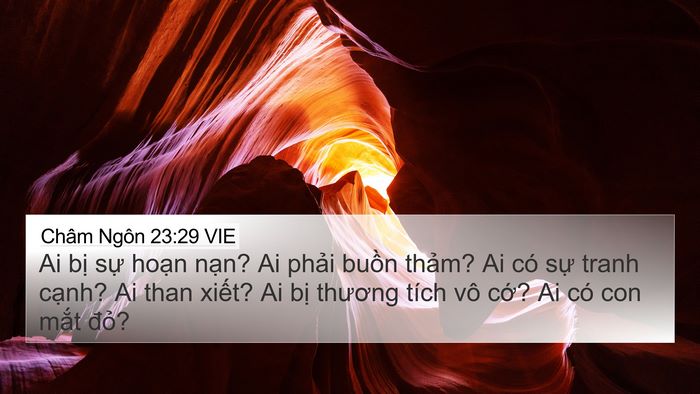 Châm Ngôn 23:29 VIE Bible Verse Image