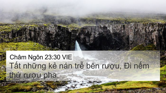 Châm Ngôn 23:30 VIE Bible Verse Image