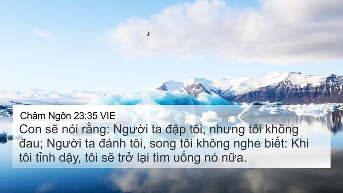 Châm Ngôn 23:35 VIE Bible Verse Image