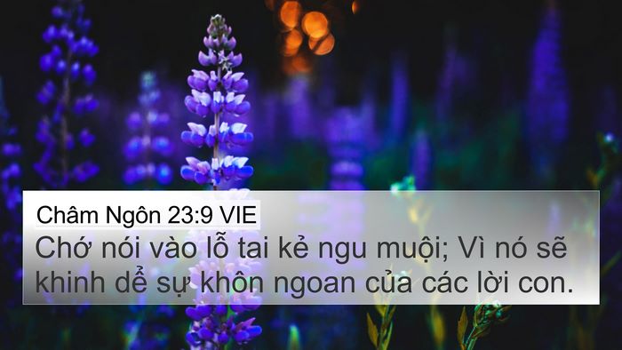 Châm Ngôn 23:9 VIE Bible Verse Image