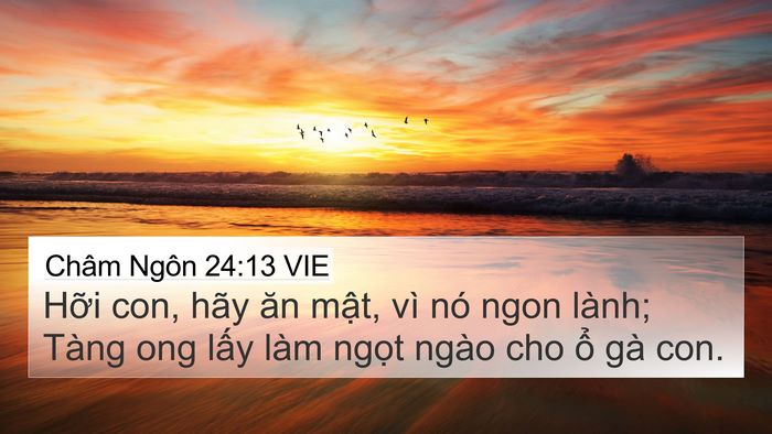 Châm Ngôn 24:13 VIE Bible Verse Image