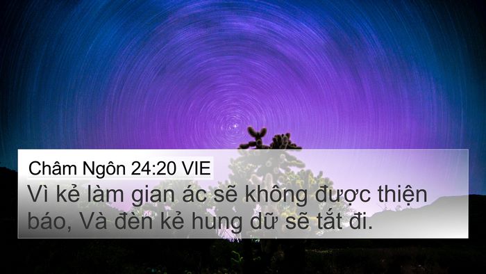 Châm Ngôn 24:20 VIE Bible Verse Image