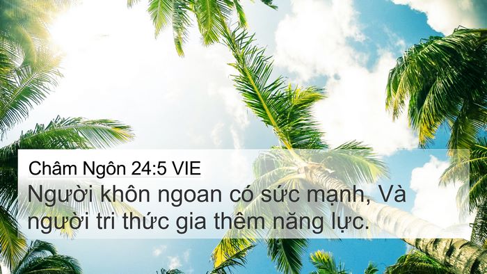 Châm Ngôn 24:5 VIE Bible Verse Image