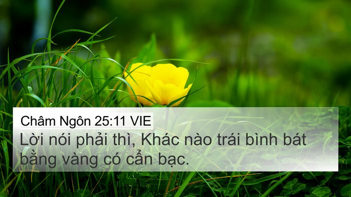 Châm Ngôn 25:11 VIE Bible Verse Image