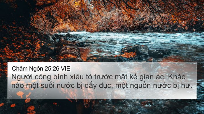 Châm Ngôn 25:26 VIE Bible Verse Image