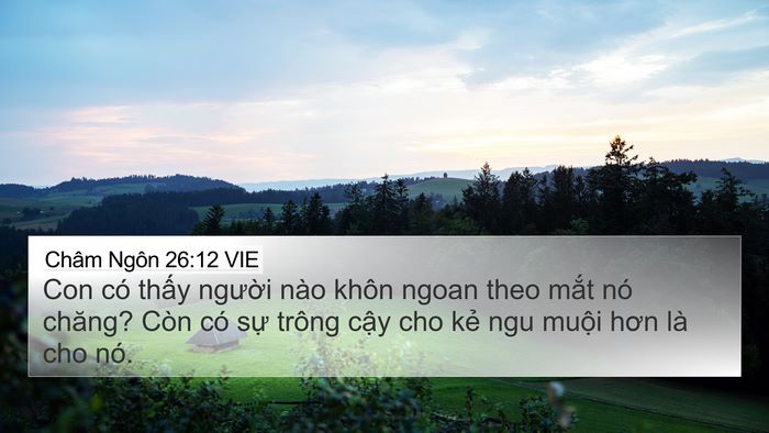 Châm Ngôn 26:12 VIE Bible Verse Image