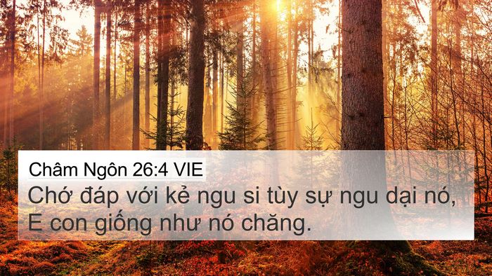 Châm Ngôn 26:4 VIE Bible Verse Image