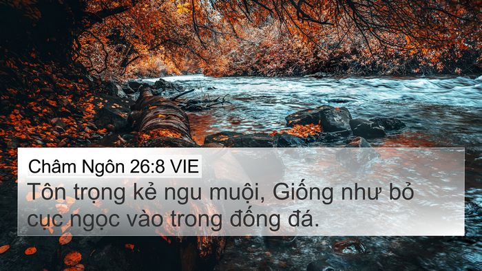 Châm Ngôn 26:8 VIE Bible Verse Image