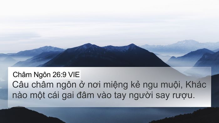 Châm Ngôn 26:9 VIE Bible Verse Image