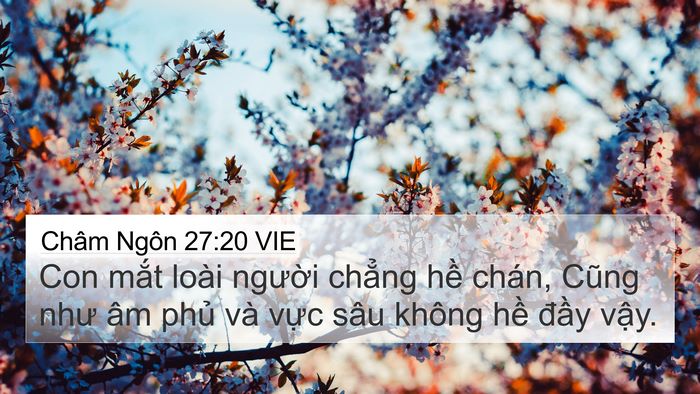 Châm Ngôn 27:20 VIE Bible Verse Image