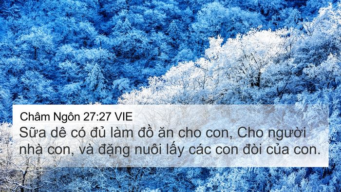 Châm Ngôn 27:27 VIE Bible Verse Image