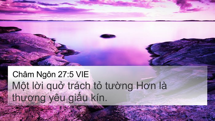Châm Ngôn 27:5 VIE Bible Verse Image