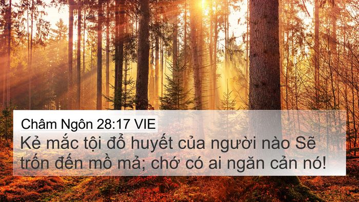 Châm Ngôn 28:17 VIE Bible Verse Image