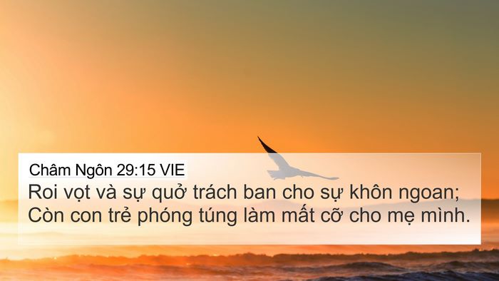 Châm Ngôn 29:15 VIE Bible Verse Image