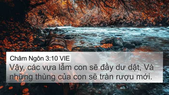 Châm Ngôn 3:10 VIE 4K Wallpaper - Vậy, các vựa lẫm con sẽ đầy dư - 4K Wallpaper Bible Verse
