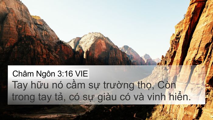 Châm Ngôn 3:16 VIE Bible Verse Image