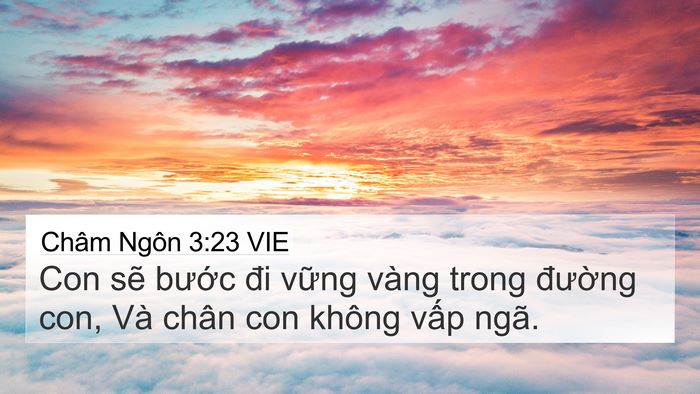 Châm Ngôn 3:23 VIE Bible Verse Image
