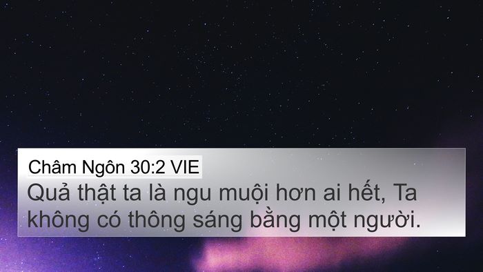 Châm Ngôn 30:2 VIE Bible Verse Image