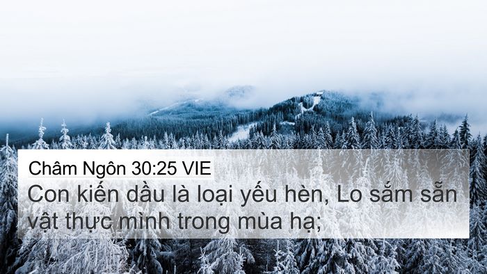 Châm Ngôn 30:25 VIE Bible Verse Image