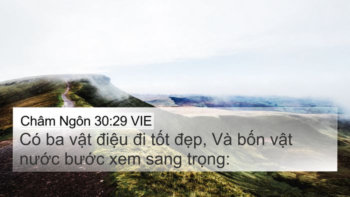 Châm Ngôn 30:29 VIE Bible Verse Image