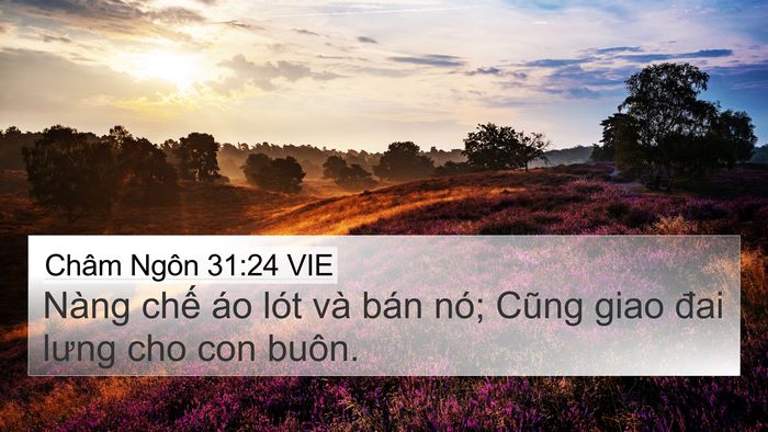 Châm Ngôn 31:24 VIE Bible Verse Image