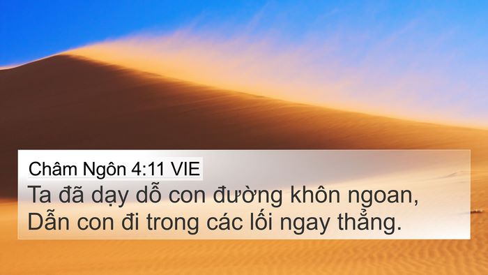 Châm Ngôn 4:11 VIE 4K Wallpaper - Ta đã dạy dỗ con đường khôn ngoan, - 4K Wallpaper Bible Verse