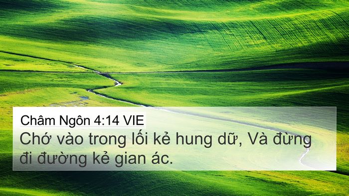 Châm Ngôn 4:14 VIE Bible Verse Image
