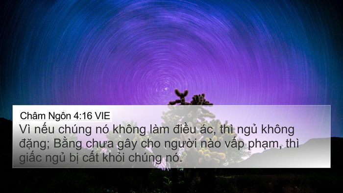 Châm Ngôn 4:16 VIE Bible Verse Image