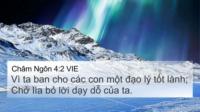 Châm Ngôn 4:2 VIE 4K Wallpaper - Vì ta ban cho các con một đạo lý tốt - 4K Wallpaper Bible Verse