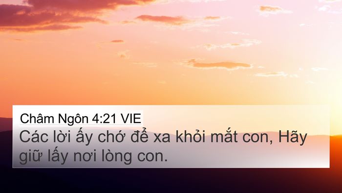Châm Ngôn 4:21 VIE Bible Verse Image
