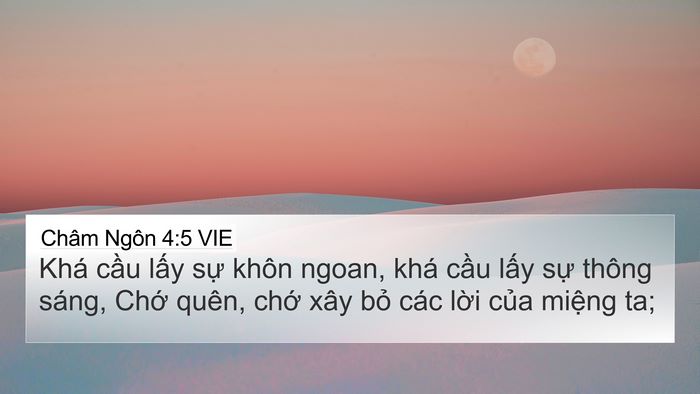 Châm Ngôn 4:5 VIE Bible Verse Image