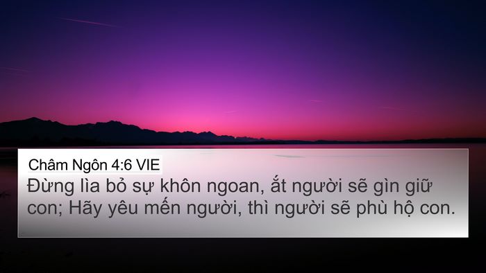 Châm Ngôn 4:6 VIE Bible Verse Image