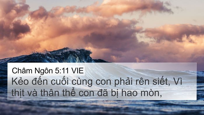 Châm Ngôn 5:11 VIE Bible Verse Image