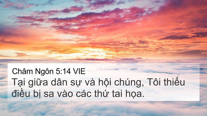 Châm Ngôn 5:14 VIE 4K Wallpaper - Tại giữa dân sự và hội chúng, Tôi - 4K Wallpaper Bible Verse