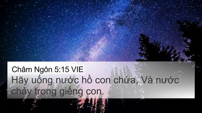Châm Ngôn 5:15 VIE Bible Verse Image