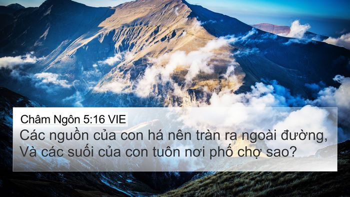 Châm Ngôn 5:16 VIE 4K Wallpaper - Các nguồn của con há nên tràn ra ngoài - 4K Wallpaper Bible Verse