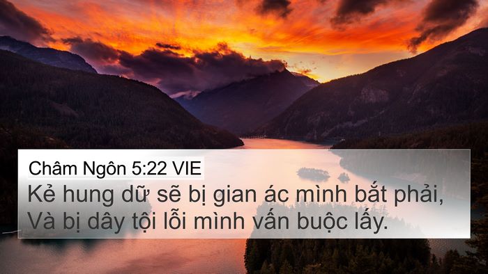 Châm Ngôn 5:22 VIE Bible Verse Image