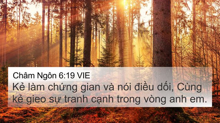 Châm Ngôn 6:19 VIE Bible Verse Image