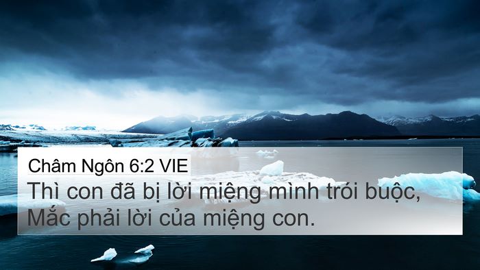 Châm Ngôn 6:2 VIE Bible Verse Image