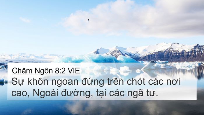 Châm Ngôn 8:2 VIE 4K Wallpaper - Sự khôn ngoan đứng trên chót các nơi - 4K Wallpaper Bible Verse