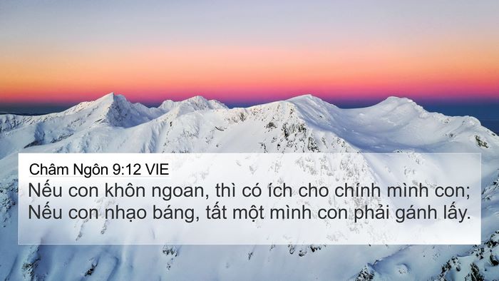 Châm Ngôn 9:12 VIE Bible Verse Image