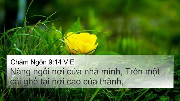 Châm Ngôn 9:14 VIE Bible Verse Image